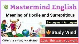 Meaning of Docile and Surreptitious ||Synonyms+Antonyms || (Mastermind English ) Study Wind