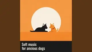 Soft Peaceful Dogs