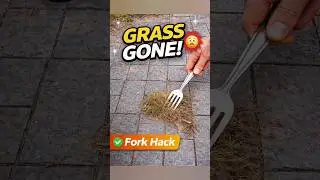 വളരെ എളുപ്പത്തിൽ ഇൻറർലോക്ക് ക്ലീൻ ചെയ്യാം Hack#Simple Trick#Easy Cleaning#No Cost Hack