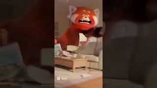 Red Pandas causing havoc. #sora #ai #shorts #animation