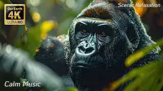 Cinematic Earth 4K &mdash; Discover the Magic of Our Planet in Ultra HD