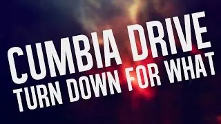 Turn down for what - Cumbia Drive // @djsnake
