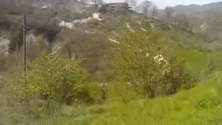 Rally 7