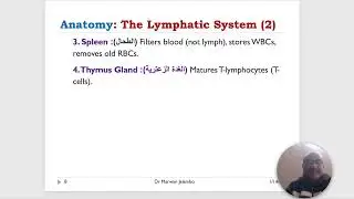 Medical Terminology   lecture 06