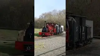 Narrow Gauge Steam