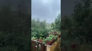 Heavy rain, unspecified location, Italy (C?), some commentary in Italian, 01/11/23 #rain