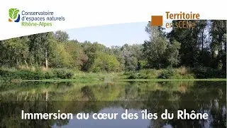 Les iles du Rhône : Immersion au cœur d'une zone humide préservée