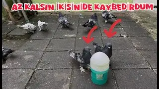 HABERİM YOK SULARI BİTMİŞ ( AZKALSIN İKİSİDE ÖLÜYORDU )