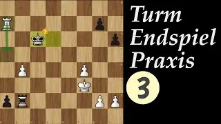 praktische Turmendspiele und ihre T&uuml;cken (3)