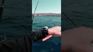 SHIMANO GAME TYPE TECHNICAL JIGGING ROD #strike #jigging #mancing #&psi;ά&rho;&epsilon;&mu;&alpha; #lightjigging
