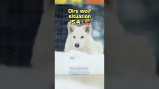 Ситуация с Dire Wolf &mdash; ложь #шорты
