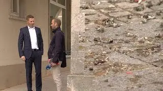 Prenzlau hat Taubenproblem