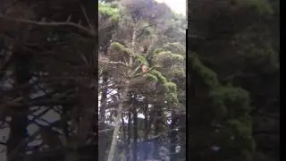 Video of Milo McIver State Park, OR from WE B.