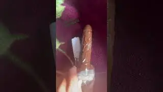 Reusable remote dildo vibration unboxing review