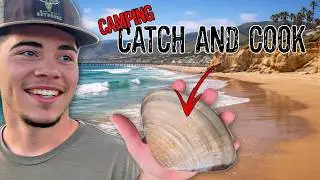 Camping Pismo Beach - We Catch and Cook Huge Clams!
