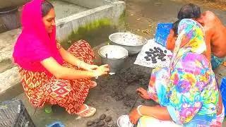 দুই মাসে ফল এল টমেটো গাছে ।