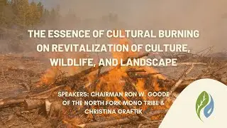 The Essence of Cultural Burning on Revitalization of Culture, Wildlife, & Landscape