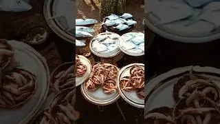 weekend holiday | fish market beach #music