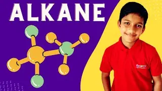 Alkane, Butane,pentane, Hexane, Heptane molecular structure, chemical formula/molecular set