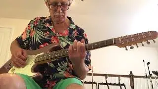 Fender 12 string Stratocaster