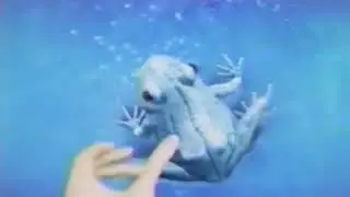 Dentyne Ice frog commercial 2008