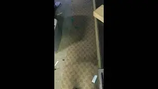 Pool Table Refurbishing (First Stream Labs Test)