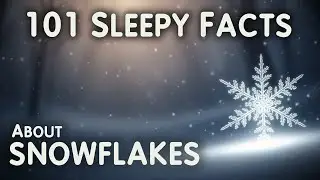 The Most Relaxing Facts About Snowflakes to Fall Asleep To &ndash; Science for Sleep