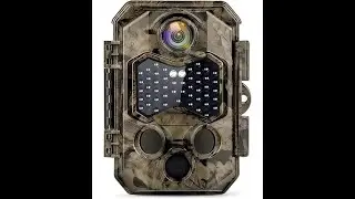 CONFRONTO FOV HAPIMP PH810W vs KOMPERNASS WK 8 A2