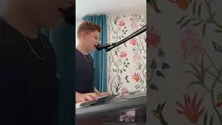 FLORIN GABRIEL BARBU -DEAR FI DRUMUL PIN' LA VAMĂ.