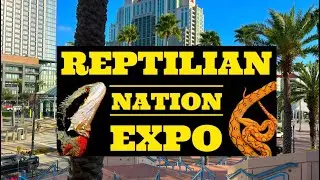 Reptile Nation Expo Tampa, Florida 