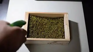 MOiSSt MOSS 開封動画