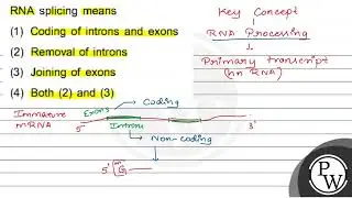 RNA splicing means (1) Coding of introns and exons (2) Removal of introns (3) Joining of exons (...