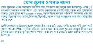 Essay on My School in Assamese