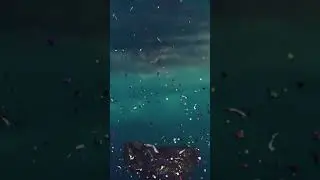 The Pacific Garbage Patch Is Worse Than We Thought