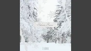 Silver Snow