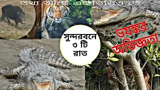 সুন্দরবন - সরাসরি কুমিরের সামনে 🥴 || No package - Private Booking