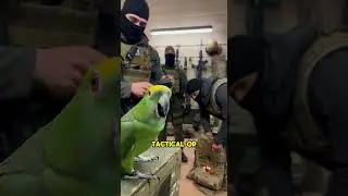 PARROT Exposes SWAT Team's Secret Snack Stash! 🦜🌮😂