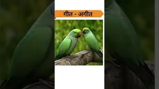 #Geeth#Ageeth#