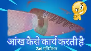 आंख कैसे कार्य करती है।।3d animation/।#ScienceFacts#HiddenScience #AmazingFacts#KnowledgeShorts