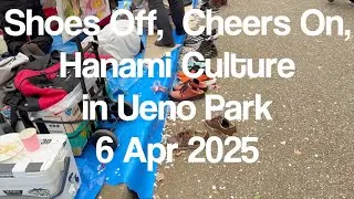 Shoes Off, Cheers On, Hanami Culture in Ueno Park 20250406 #japan #tokyo #love #uenopark #hanami #1