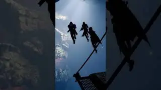 Destiny это нужно #destiny2 #destiny2community