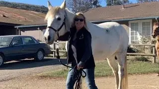 Heather and Chloe Find a Home!