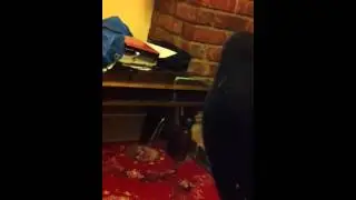 Talking foot