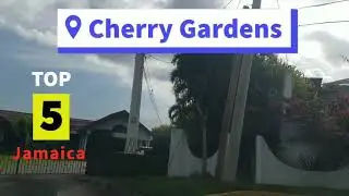Driving through Cherry Gardens | Jamaica