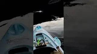 ペンシルにナイスバイト#shorts