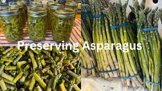 Canning and Dehydrating...Asparagus!!