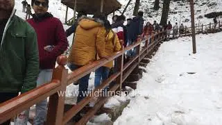 Shimla in the snow: winter 2020