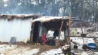 This IS Real Nepali Mountain Shepherd Life During the Snowfall || Rural Documentary With Nature ||