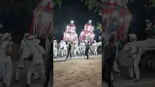 #shorts Indian Wedding Dance #youtubeshorts #dance