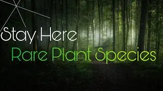 15 Rare, Exotic & Amazing Plant Species | STAY HERE